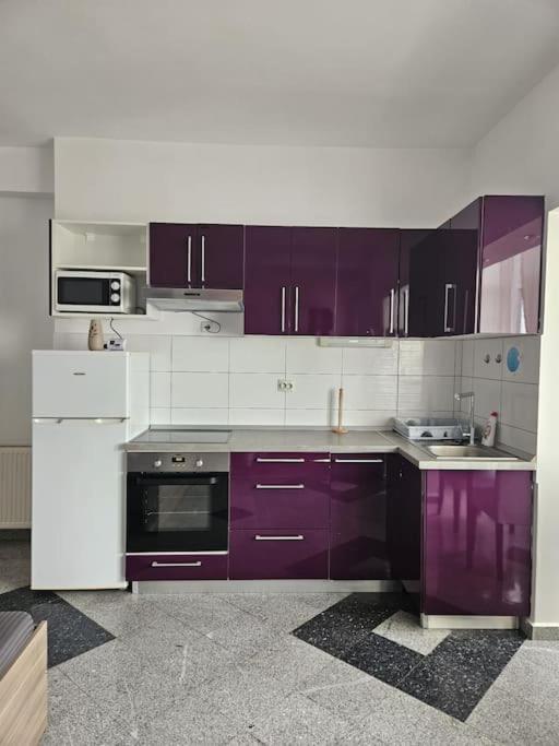 Nice Studio In The Heart Of City Βουκουρέστι Εξωτερικό φωτογραφία